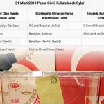 YSK Genel ve Yerel Seçimleri